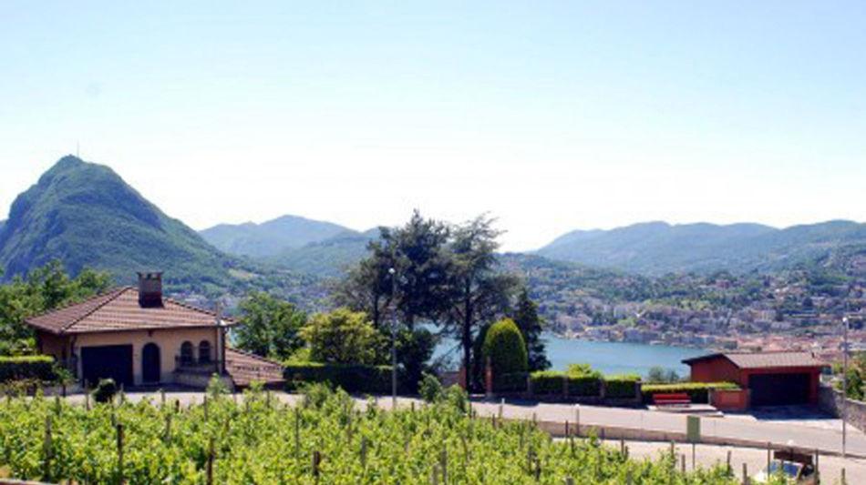 grotto-piccolo-vigneto-viganello-1397-0.jpg