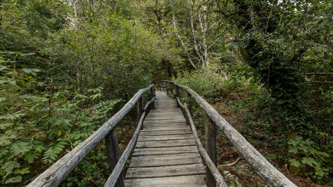 Bosco-Maia-Arcegno-36577-TW-Slideshow.jpg