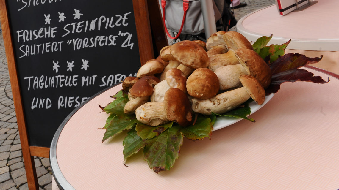 Funghi-4142-TW-Slideshow.jpg