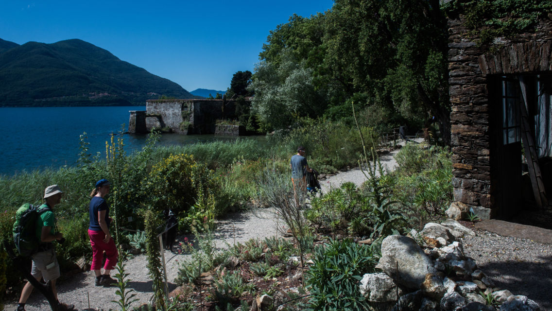 Isole-di-Brissago-36078-TW-Slideshow.jpg