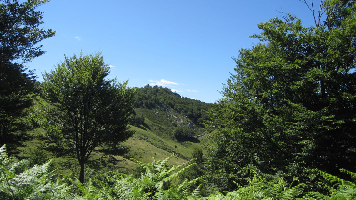 Lugano-Trekking-36043-TW-Slideshow.jpg