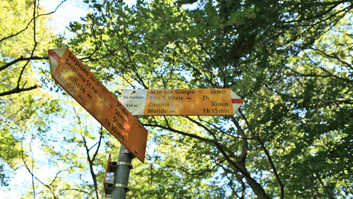 Monte-San-Giorgio-36353-TW-Slideshow.jpg