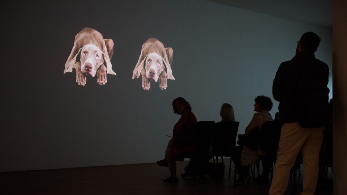 Mostra-William-Wegman-Being-Human-25054-TW-Slideshow.jpg