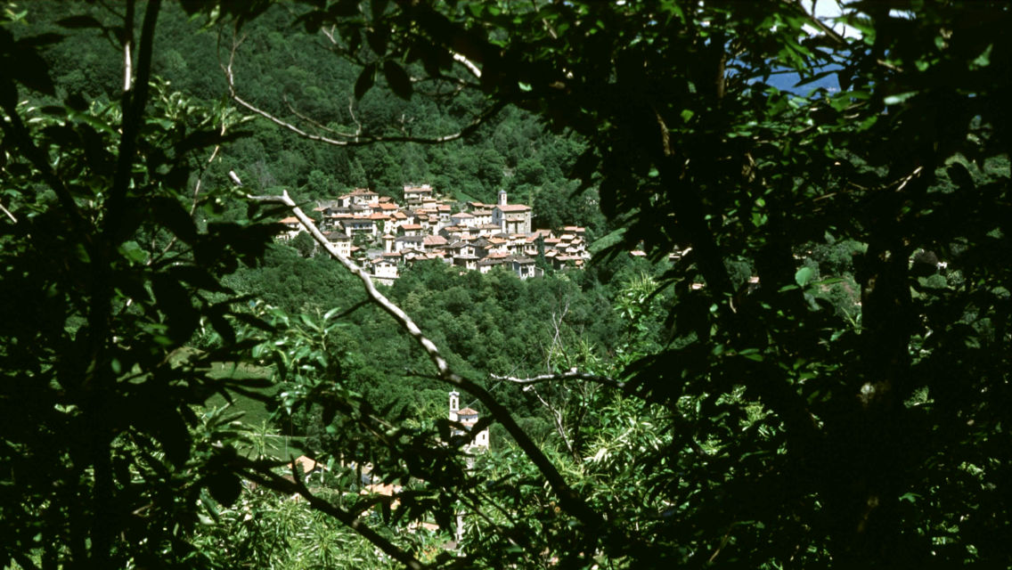 Sentiero-del-Castagno-1721-TW-Slideshow.jpg