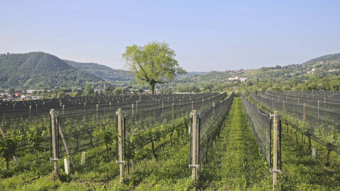 azienda-agricola-cantonale-di-Mezzana-36420-TW-Slideshow.jpg